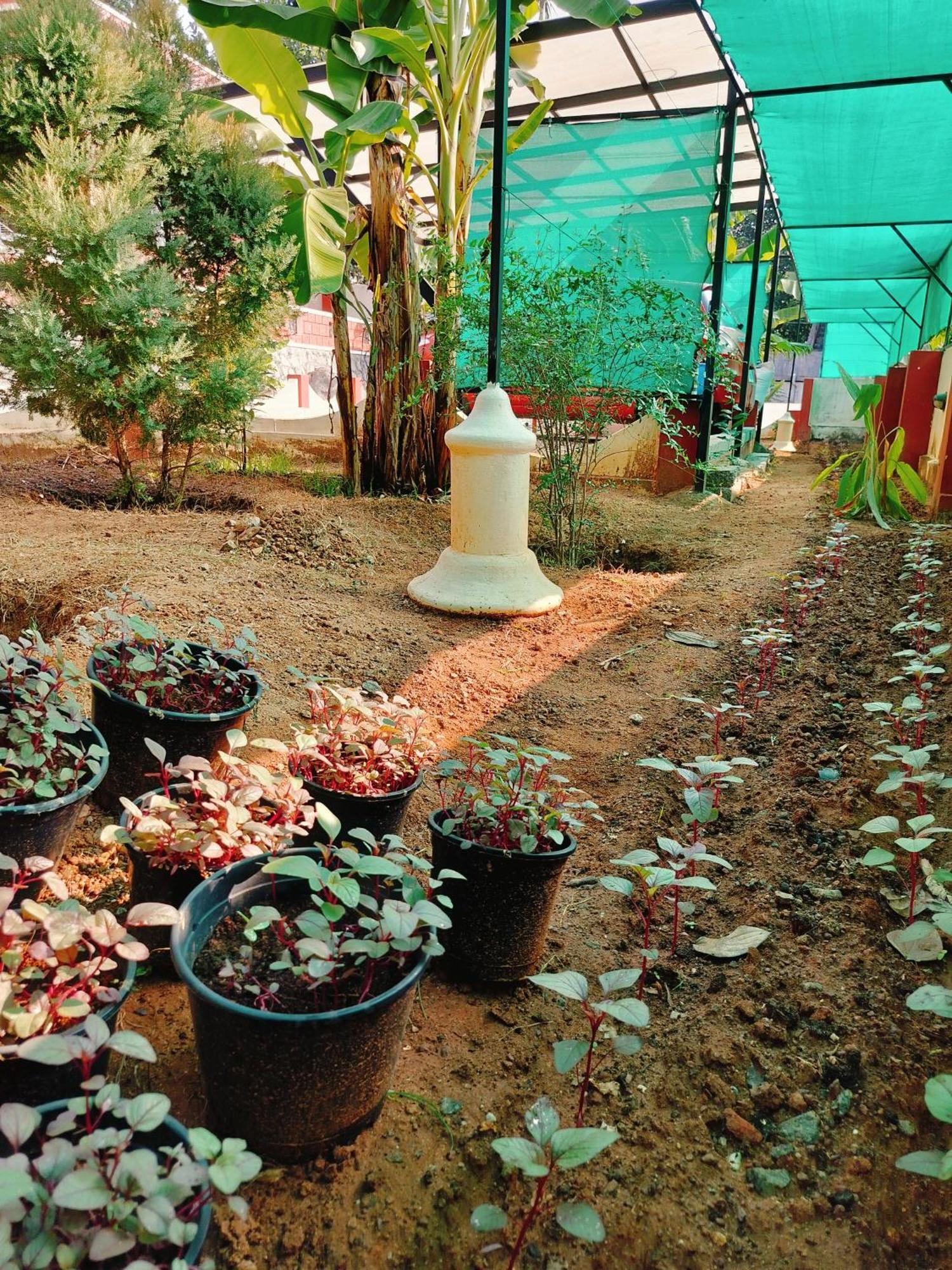 The Ixora - A Boutique Homestay Varkala Exterior foto